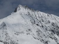 CH, Wallis, Saas Fee, Taeschhorn 2, Saxifraga-Willem van Kruijsbergen